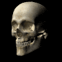 skulln3.gif