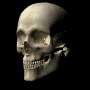 skulln3