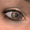 iconeye.gif