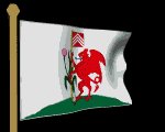 cardiff-flag.gif - The flag of Cardiff