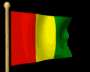 guinea-flag
