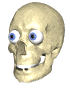 goofy.gif