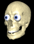 sillysk.gif