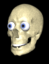 sillyskull.gif