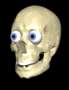 sillyskull