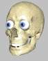 skullwobbler