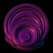 purplewhip