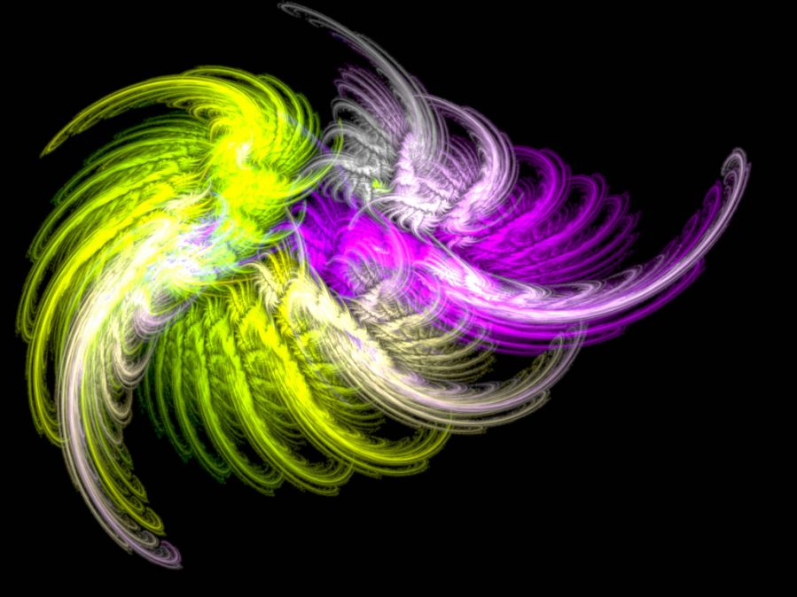 whelk-1
