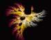 lungfern-1