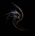 splinterbow2