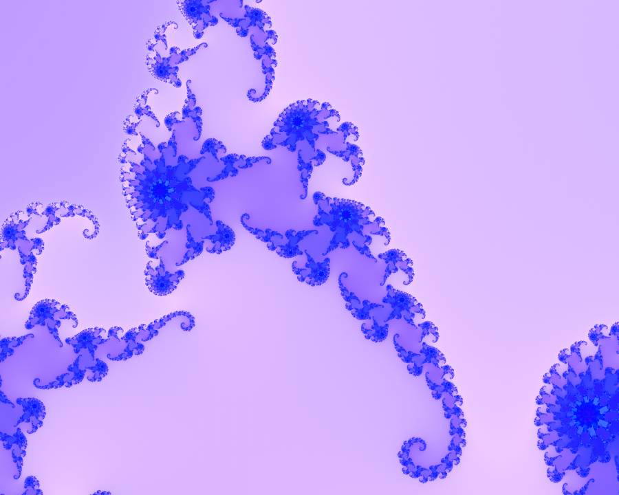 seahorse1