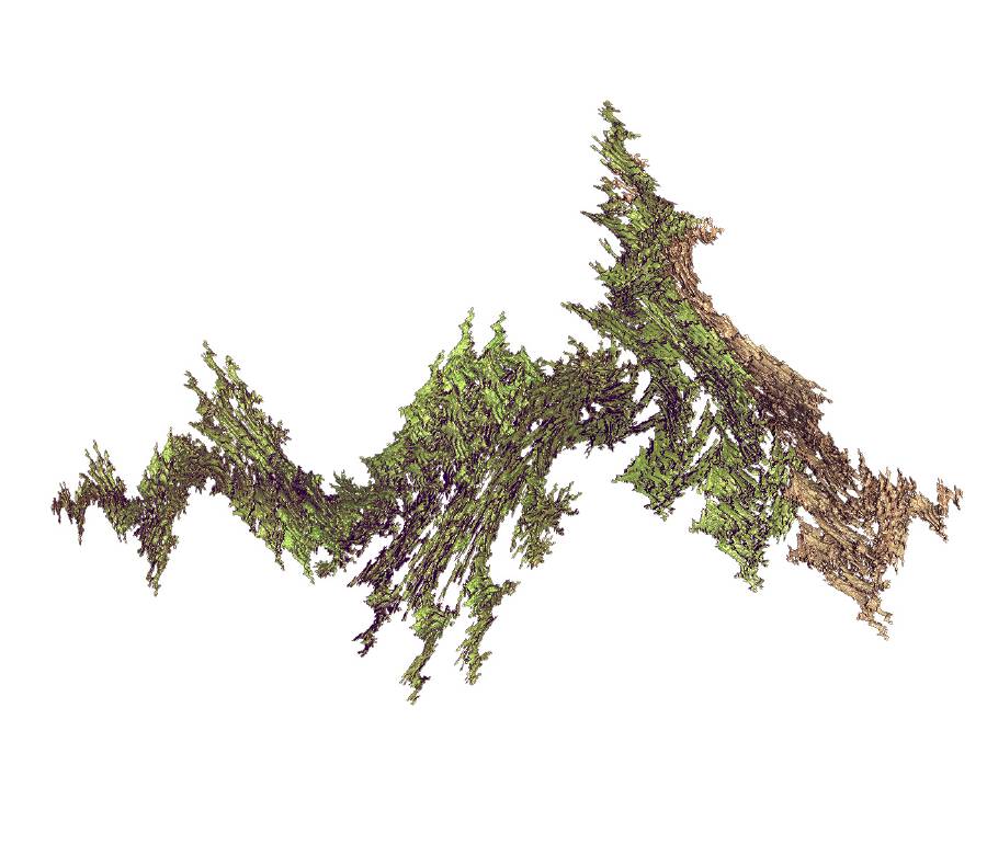 Bonsai2