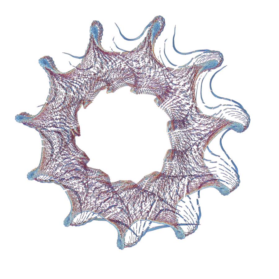decapod5