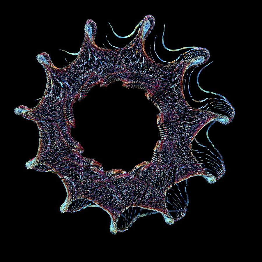 decapod6