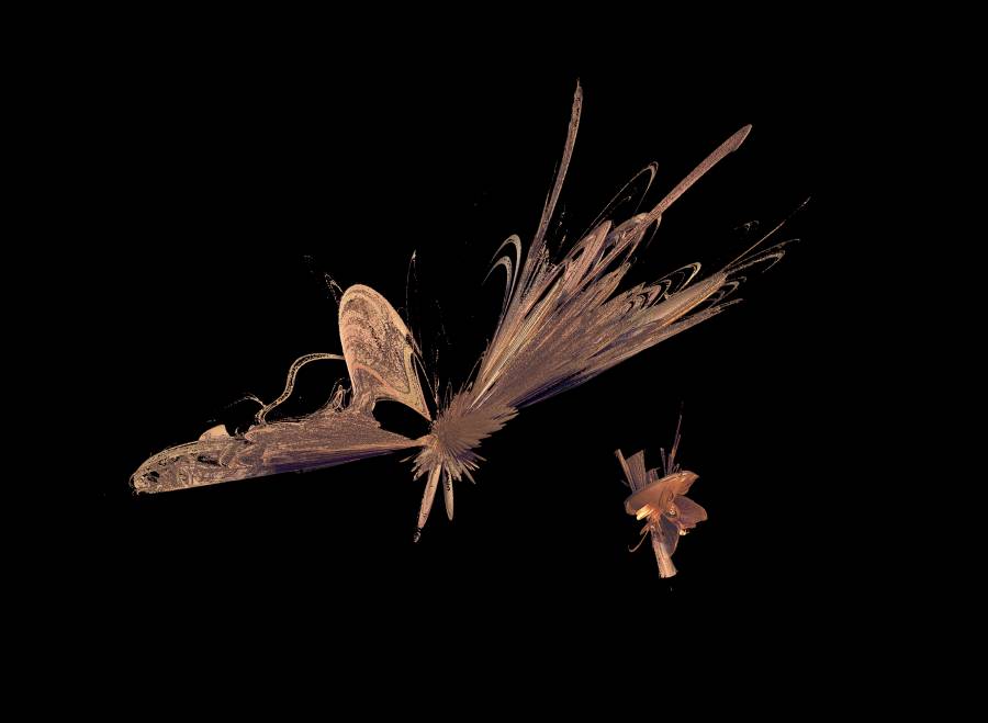 dragonfly