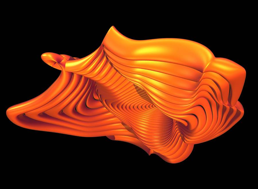 flatworm2