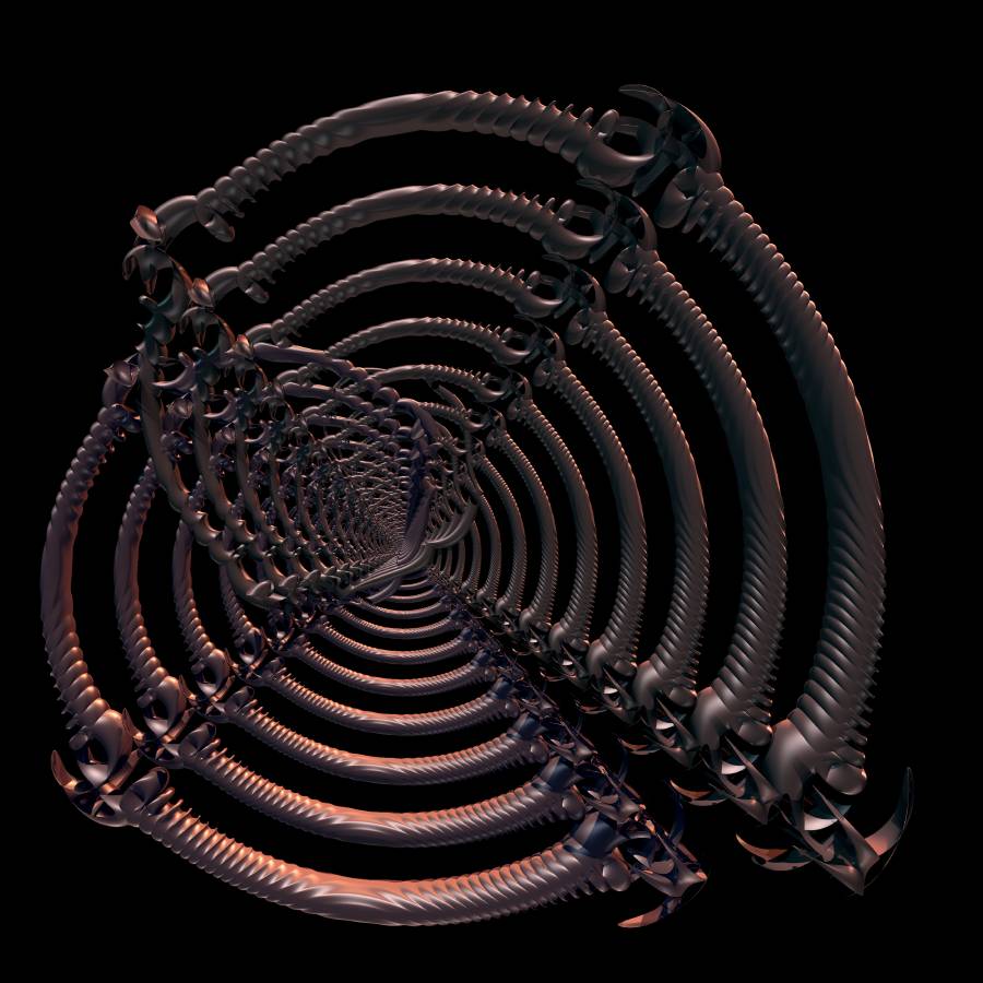 ribcage6
