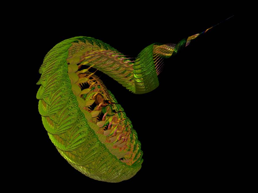 snakedancer