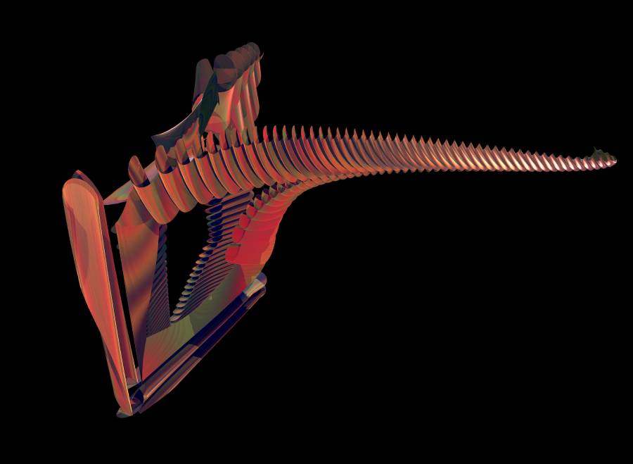 vertebral1