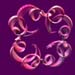 prawn_ring