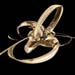 ringbeak3