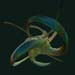 ringbeaky2