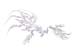 silk_dragon2