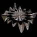 sonic_flower3