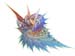 superconch3