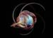 symbol_twirl2