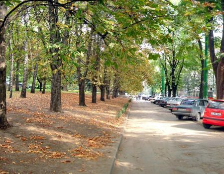 Tree lined streets in central Chisinau