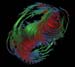 DRAGONFERN2