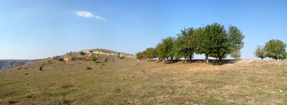 HILLTOP