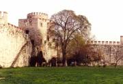 fort02