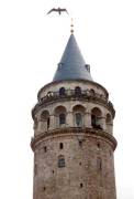 istan43