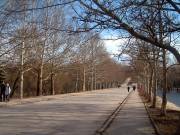 pathtree