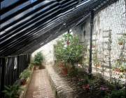 BUTTERFLY-HOUSE