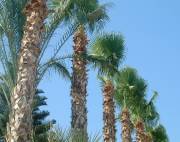 Cyprus
