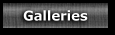 galleries.gif (1932 bytes)